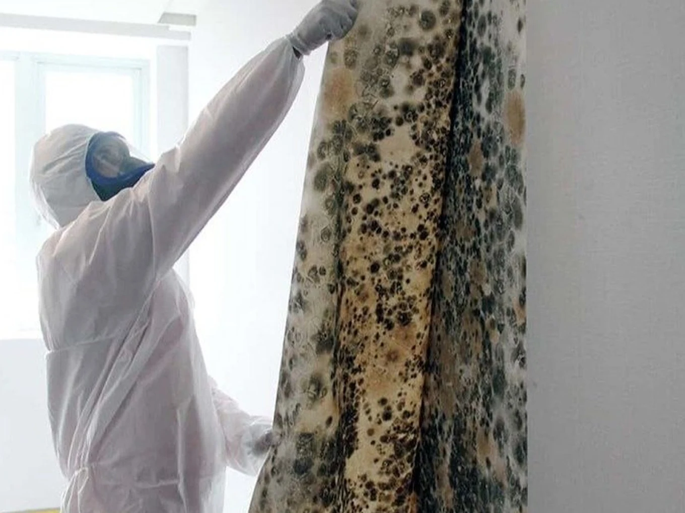 How to Prevent Mold Growth After a Flood in the Delaware Valley | New ...
